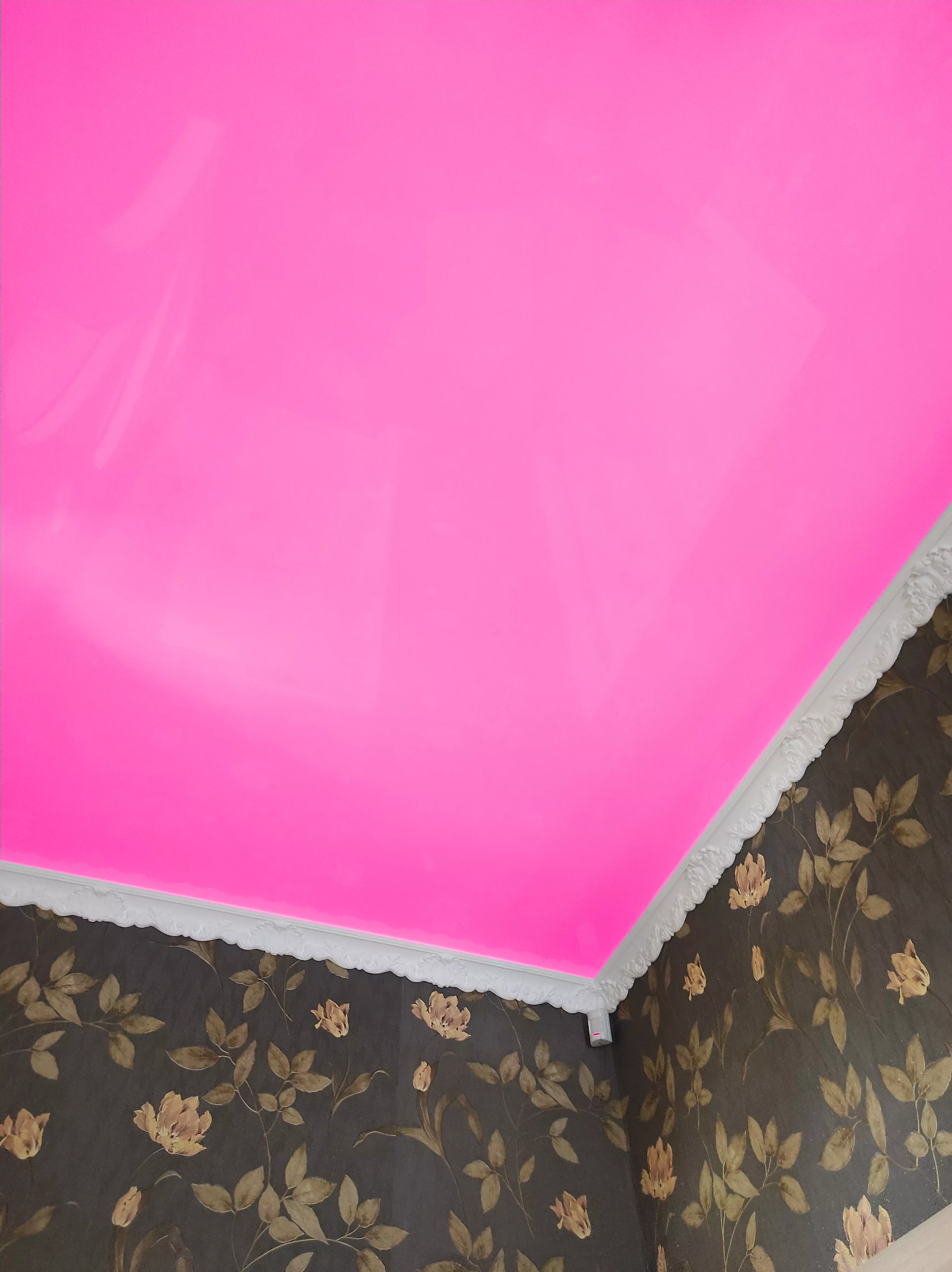 Уссурийск, Волочаевская, 9, фото 2