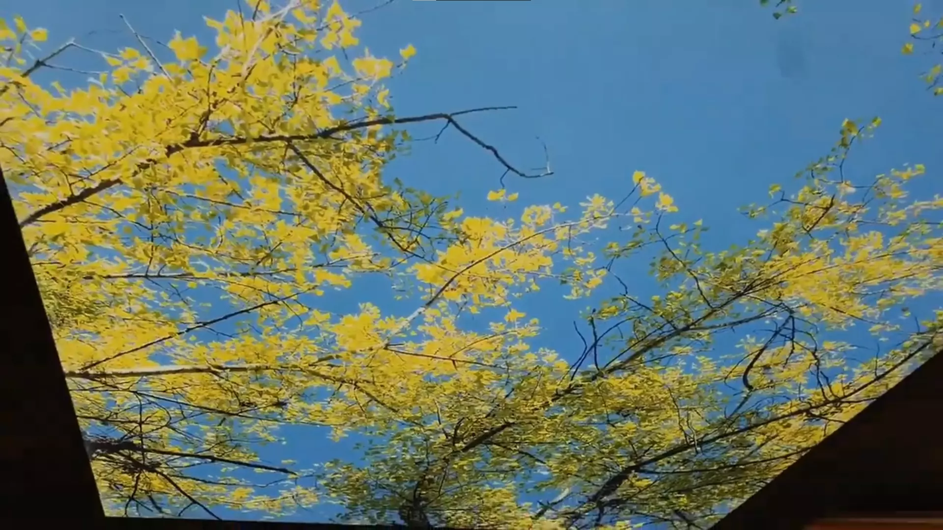 Салават, , фото 2